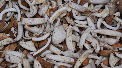Coconut pieces, drying in the sun to make coconut oil, Thailand
