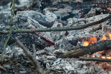 Burnt logs and fire flames close-up. Abstract background