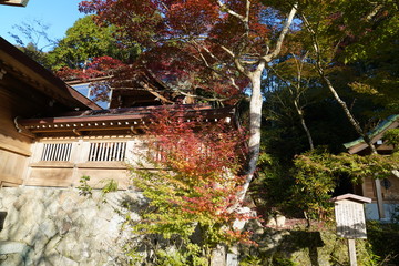 竈神社　紅葉　太宰府市