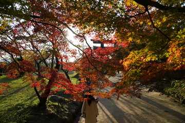 竈神社　紅葉　太宰府市