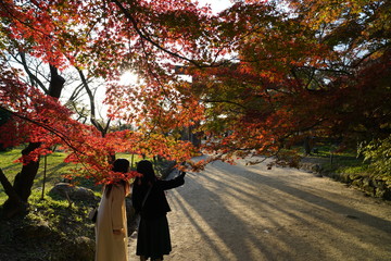 竈神社　紅葉　太宰府市