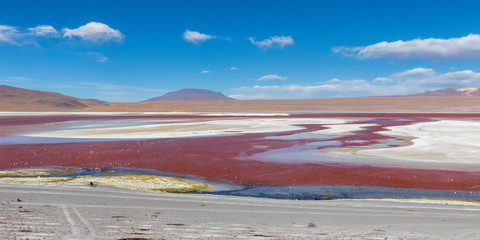 Laguna colorada on the altiplano in Bolivia.