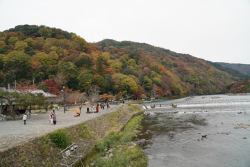 渡月橋（嵐山）の紅葉　京都