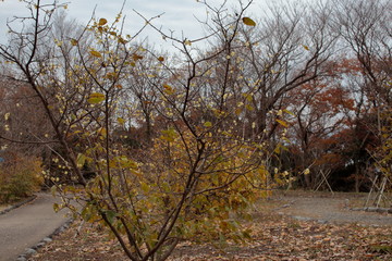 We sense the arrival of winter