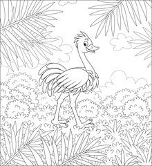 Funny ostrich walking on grass in savanna against the background of bushes and palm branches on a warm summer day, black and white vector cartoon illustration