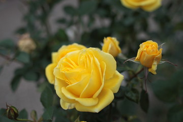 It’s getting colder day by day