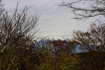 We sense the arrival of winter