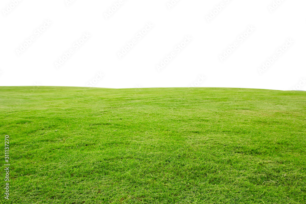 Wall mural fresh green grass lawn isolated on white background