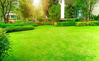 Gardinen Frischer grüner Burmudagras glatter Rasen als Teppich mit geschwungener Buschform, Bäume im Hintergrund, gepflegte Landschaften im Garten eines Luxushauses unter Morgensonne © Arunee