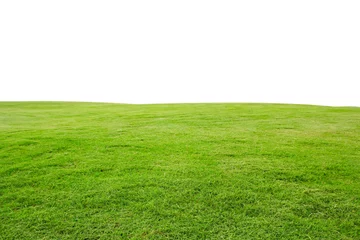 Keuken foto achterwand Weide vers groen grasgazon dat op witte achtergrond wordt geïsoleerd