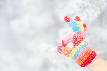 Hand in winter glove shows ok sign gesture in a winter forest on a blurry background. Empty space for text