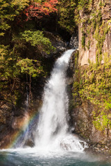 Obraz premium 虹のかかる河津七滝 大滝