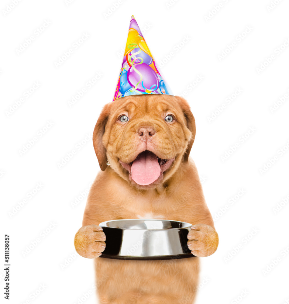 Poster hungry puppy with open mouth wearing a party hat holds empty bowl. isolated on white background