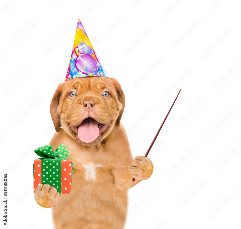 Aufkleber funny puppy wearing a party cap holds gift box and pointing away on empty space. isolated on white b