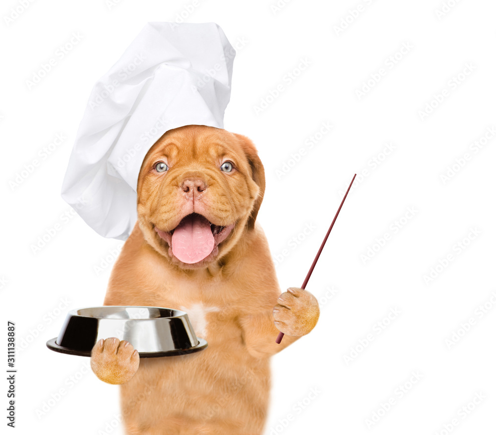 Poster Funny puppy in chef's cap holds empty bowl and points away on empty space. isolated on white background
