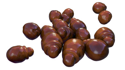 Microscopic fungi Malassezia furfur, 3D illustration. They are naturally found on the skin surfaces and are also associated with dandruff, seborrhoeic dermatitis and tinea versicolor