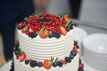 A huge cake for the guests of the holiday for the wedding 2175.