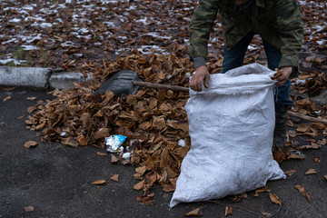 A man cleans and sweeps a yard