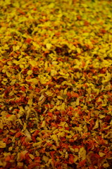 Colorful counter with spice at Istanbul Spice market