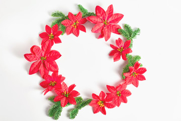 wreath of red flowers Christmas star and green fir twigs on white background. holiday concept. flat lay, space for text