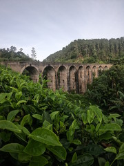 Obraz premium The Nine Arch bridge in Ella Sri Lanka