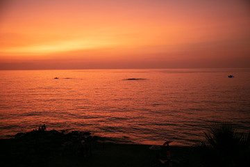 Obraz premium sunset at the sea