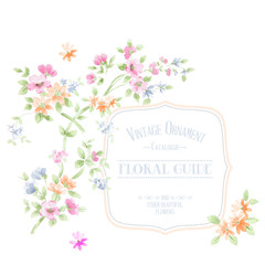 Elegant watercolor flower invitation card design,Flowers watercolor illustration