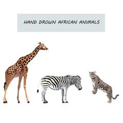 Wild animals retro cartoon collection of flat isolated jungle and african images. Giraffe. Zebra. Cheetah.