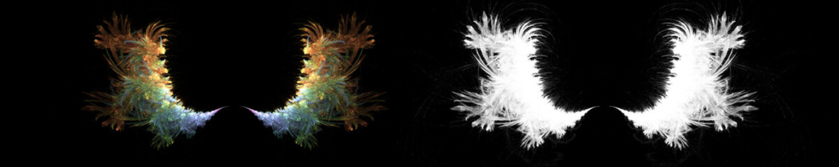 Obraz premium Colorful smooth abstract wings background with clipping path