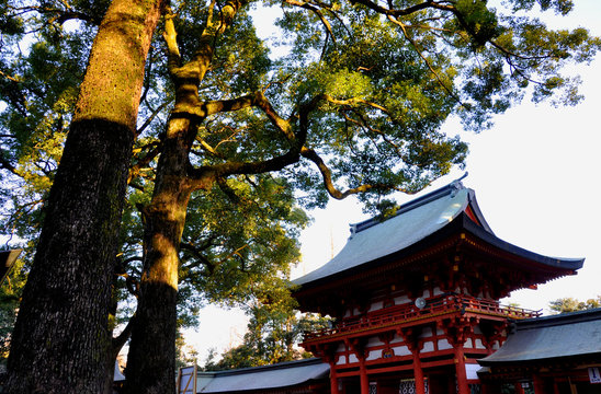 red japanese shinto shrine 