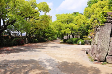 Fototapeta premium 岡山城外縁の遊歩道