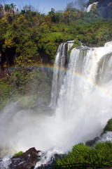 Fototapeta premium Iguazu River Falls between the countries of Argentina and Brazil