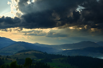 Obraz premium Sunset in carpathian mountains - beautiful summer landscape, spruces on hills, dark cloudy sky and bright sun light, meadow and wildflowers