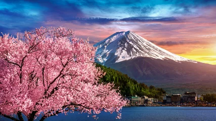Photo sur Plexiglas Mont Fuji Mont Fuji et fleurs de cerisier au printemps, Japon.