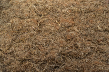 Close-up of coarse bast fiber obtained from the stems of cannabis. Natural eco-friendly material