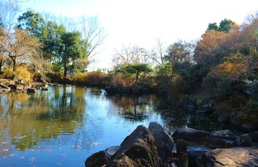 秋　池　庭　風景