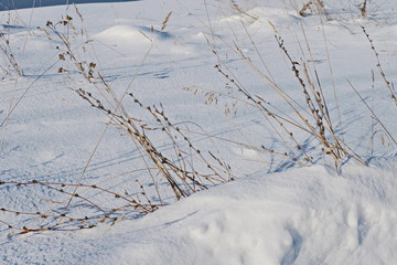 Snowdrifts in the winter Park on a Sunny day.