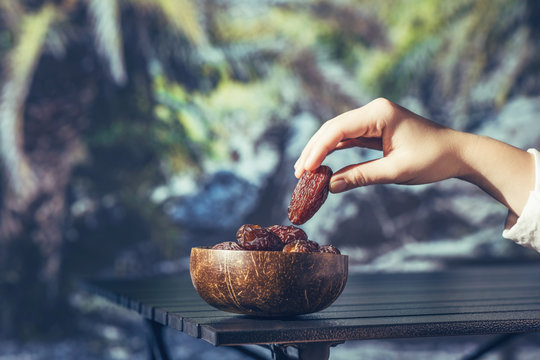 Woman hand with royal dates fruit in a bowl of coconut on a table in a palm tree grove.