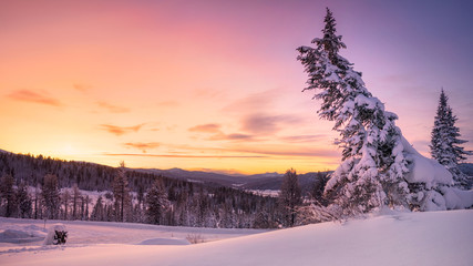 A beautiful sunset in the snowy mountains in the forest