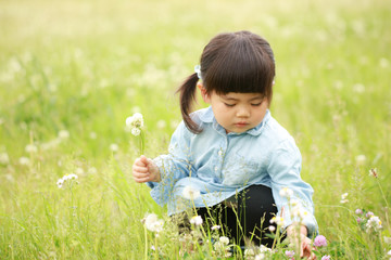 シロツメクサを摘む女の子