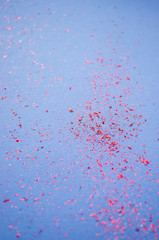 Blurred background of colorful confetti, sparkles on bright purple background. Festive background.