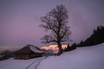 Abendlicht mit Schrattenfluh