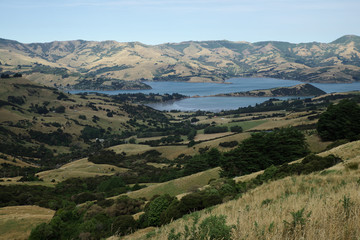 Fototapeta na wymiar ニュージーランド、カンタベリー地方の風景