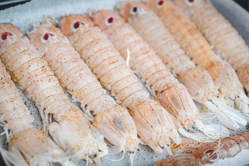 Delicious fresh Mantis Shrimps from the adriatic sea in Puglia, Italy