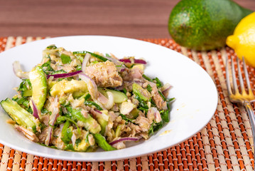 Healthy tuna, avocado and cucumber salad with onions in a plate on a table with ingredients - american home cooking