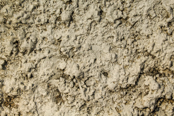 Concrete plaster on the street overgrown with mold