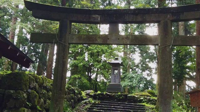 Person POV Walking Up Stairs To Torii Gates In Nikko, Japan