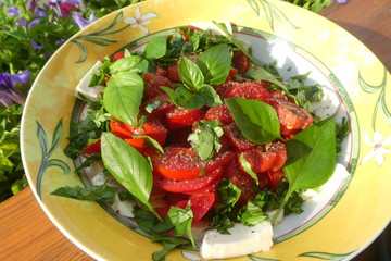 Caprese Salat