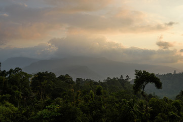Mountains in central part of Sri Lanka near Nuwara Eliya