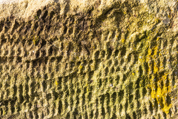 texture detail on stone